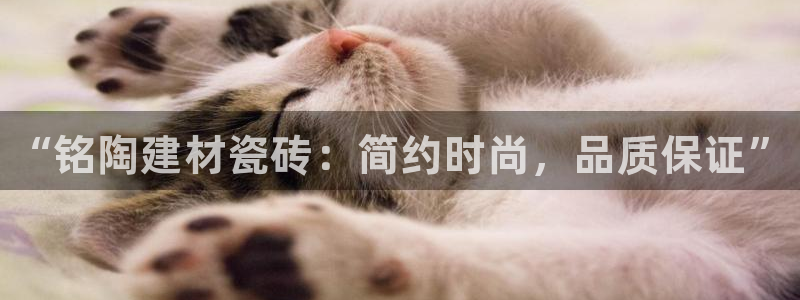 杏鑫平台注册网址是多少