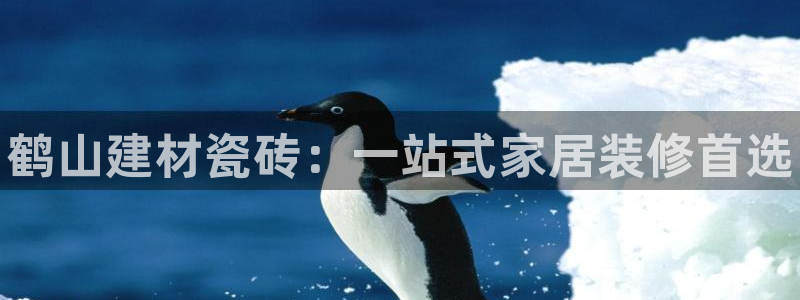 杏鑫平台代理注册登录不了怎么办呀苹果
