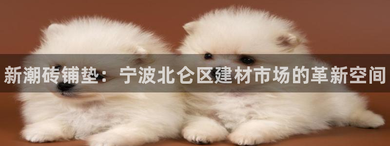 杏鑫平台注册网址是多少