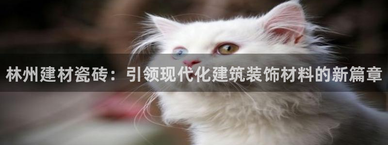 杏鑫平台招商电话