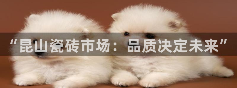 杏鑫娱乐平台测速