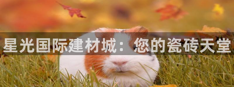 杏鑫有亏损返点吗