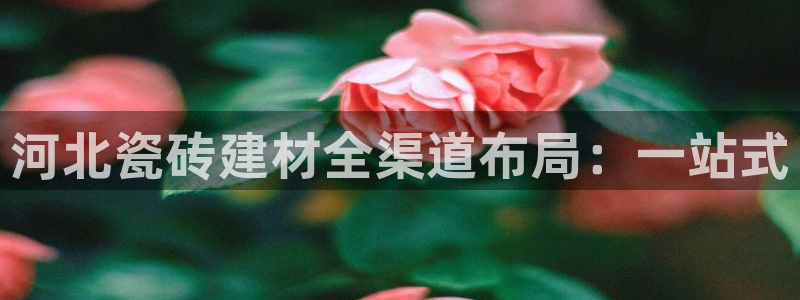 杏鑫娱乐官网登录不了