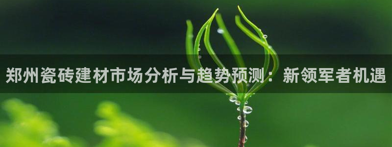 杏鑫平台野马联盟怎么样