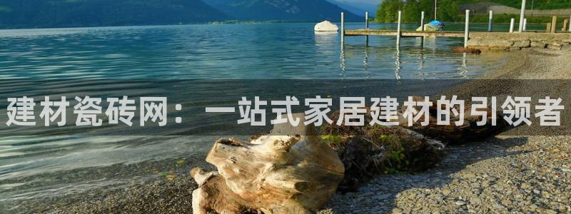 杏鑫平台注册登录