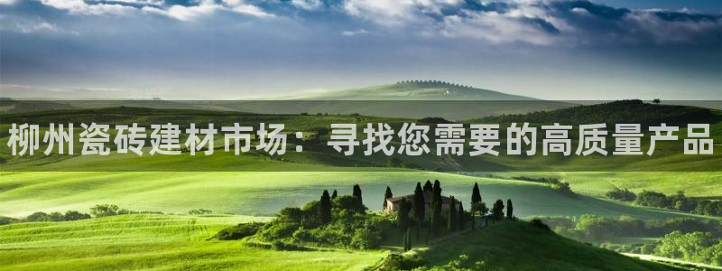 杏鑫平台怎么样