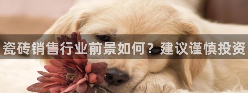 杏鑫官方平台怎么样啊安全吗