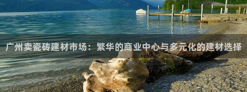 杏鑫平台登录地址查询