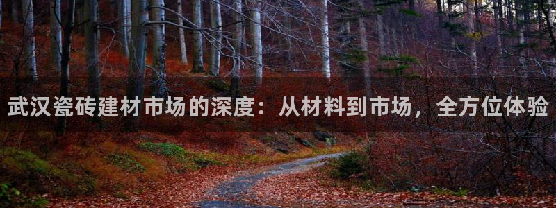 杏鑫注册平台官方网站是什么