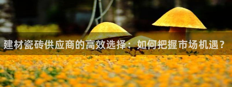 杏鑫平台招商电话