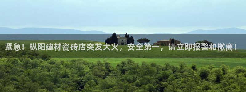 杏鑫官网注册账号是什么样的