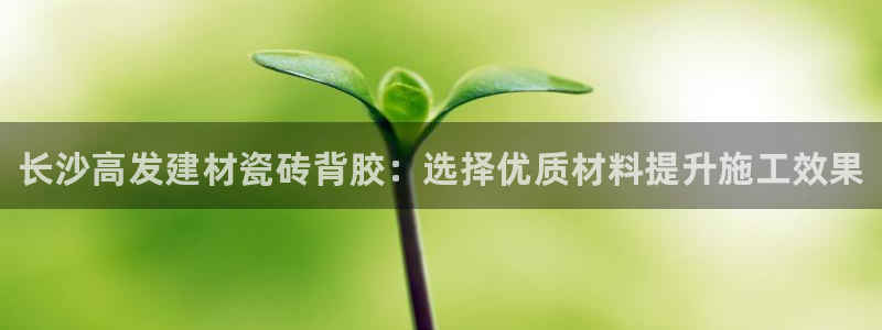 杏鑫官网注册账号