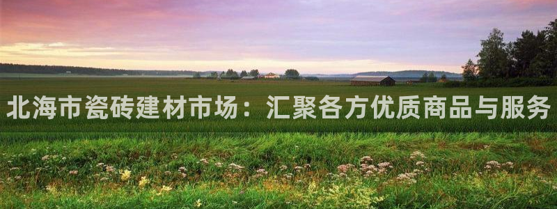 杏鑫平台怎么样黑钱吗